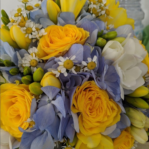 Meet your Posher, Laura - Picture 1 of 1